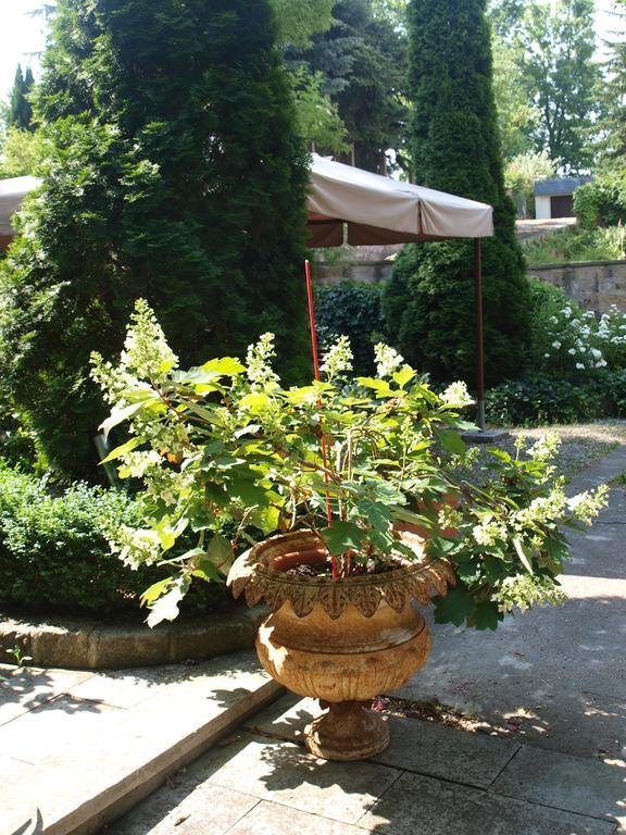 Pension Zur Koeniglichen Ausspanne Dresden Bagian luar foto